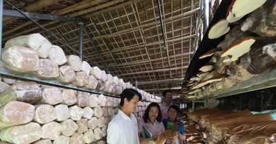 Vốn chính sách tạo sinh kế bền vững