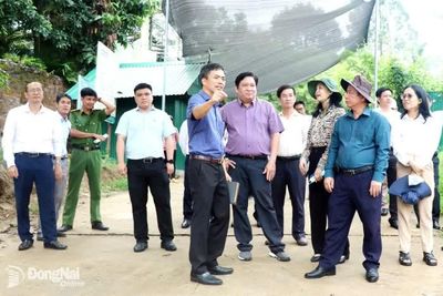 Khảo sát các cảng, bến thủy trên sông Đồng Nai