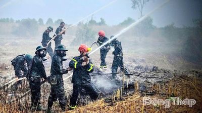Đồng Tháp tăng cường các biện pháp phòng cháy, chữa cháy rừng mùa khô tại 23 xã có rừng