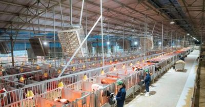Doanh nghiệp chủ động tiết kiệm điện