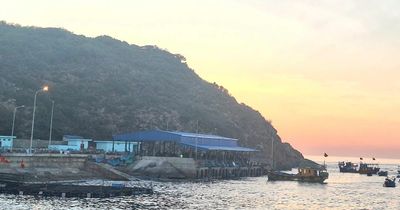 Cho phép 7 hộ sản xuất, chế biến thủy sản tại Cảng cá Nhơn Lý hoạt động đến cuối năm 2026