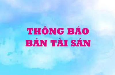 Công ty TNHH MTV Lâm nghiệp Trầm Hương thông báo bán tài sản