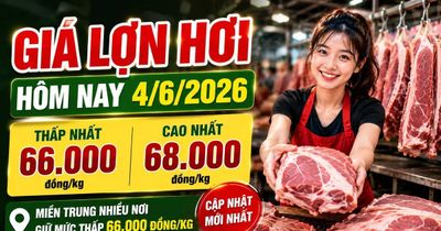 Giá lợn hơi hôm nay 4/6: Miền Trung vẫn thấp nhất cả nước
