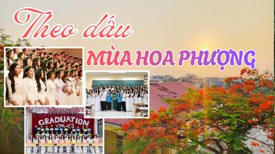 Theo dấu chân mùa hoa phượng