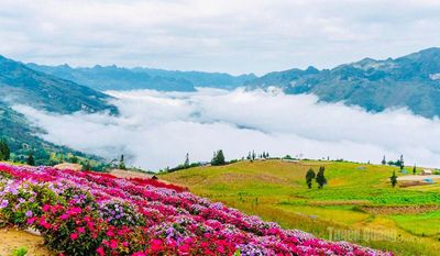 Đánh thức mùa hè xanh giữa đại ngàn