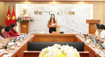 Thẩm tra nhiều tờ trình, dự thảo nghị quyết