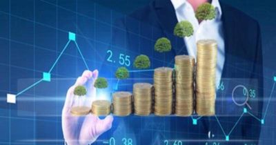 Quỹ mở tăng tốc giải ngân, phát tín hiệu lạc quan cho thị trường chứng khoán