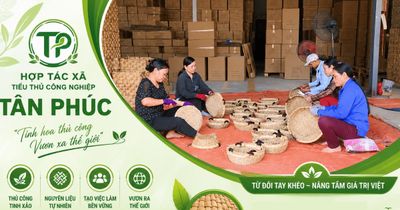 Hành trình vươn xa của HTX Tân Phúc từ sợi cói quê hương