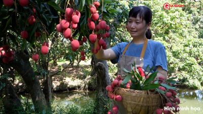 Loại quả mùa hè giúp chống oxy hóa, tốt cho sức khỏe