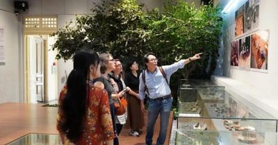 Bảo tàng trong một thành phố đang lớn lên