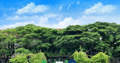 Thành Thành Công Biên Hòa (SBT) chốt ngày trả cổ tức bằng tiền cho cổ đông sở hữu cổ phiếu ưu đãi