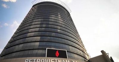 Petrosetco (PET): Lên kế hoạch phát hành hơn 48 triệu cổ phiếu, lãi quý I/2026 tăng bằng lần