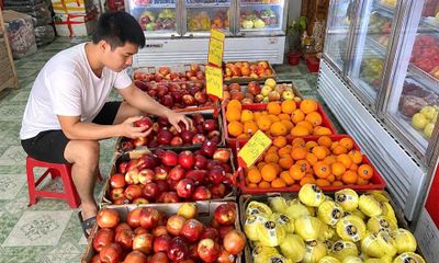 Tem trái cây nhập khẩu: Bí quyết chọn mua đúng nhu cầu