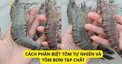 Cách phân biệt tôm tự nhiên và tôm bơm tạp chất: Cứ nhìn điểm này là biết ngay