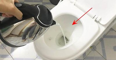 Tại sao bạn nên đổ nước sôi vào bồn cầu ngay khi nhận phòng khách sạn? Bí mật không phải ai cũng biết