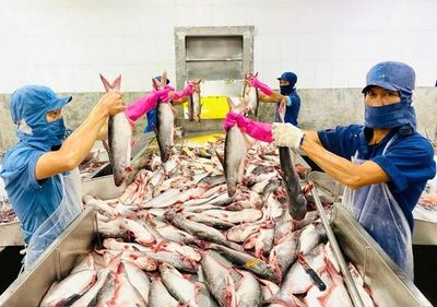 Xuất khẩu nông lâm thủy sản đạt hơn 30,6 tỷ USD trong 5 tháng đầu năm 2026