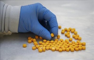 Fentanyl - sát thủ thầm lặng: Bài 1: Chất độc chết người chỉ bằng hạt muối