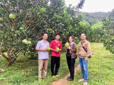 Gia Lai: Đặt mục tiêu có hơn 800 hợp tác xã hoạt động vào năm 2026