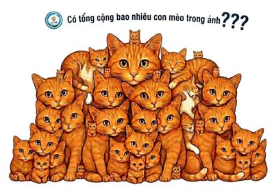Có bao nhiêu con mèo trong bức ảnh 'hoa mắt' này?