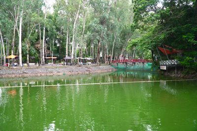 Tổ chức hội thảo xác minh hố chôn tập thể liệt sĩ tại công viên Lê Thị Riêng