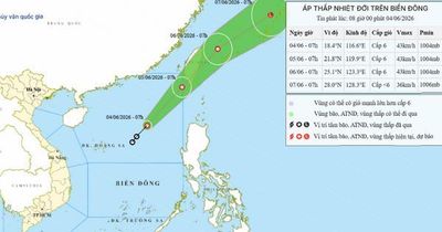 14 tỉnh, thành phố ven biển chủ động ứng phó áp thấp nhiệt đới