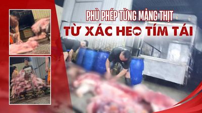 Ban Thường vụ Thành ủy TP.HCM có chỉ thị quan trọng về an toàn thực phẩm