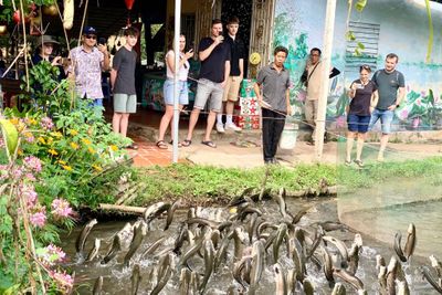 Đàn 'cá lóc bay' độc đáo hút khách ở miền Tây