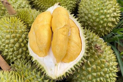 Trung Quốc duyệt thêm loạt phòng kiểm nghiệm sầu riêng ở Việt Nam