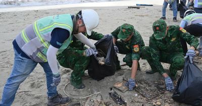 Kỹ sư, công nhân Coteccons và cán bộ, chiến sĩ biên phòng tham gia làm sạch bờ biển Phú Quốc
