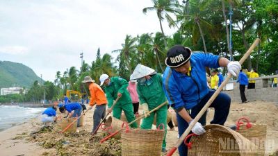 Dọn dẹp, thu gom lục bình dạt vào dày đặc ở các bãi tắm Thành phố Hồ Chí Minh