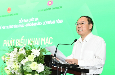 Môi trường không thể tiếp tục là lĩnh vực 'đi sau' xử lý hệ quả