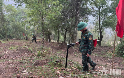 Làm sạch đất thiêng phục vụ công tác tìm kiếm, cất bốc hài cốt liệt sĩ