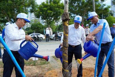 Đà Nẵng đồng loạt ra quân hưởng ứng Tháng hành động vì môi trường