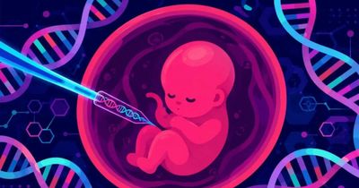 Giới nghiên cứu lần đầu chỉnh sửa chính xác gene phôi người