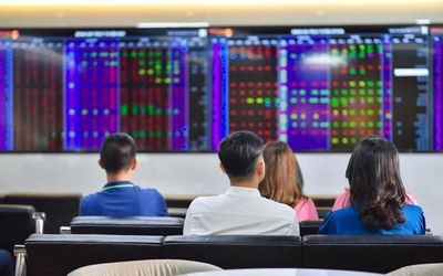VinaCapital nói về tác động của cổ phiếu Vingroup