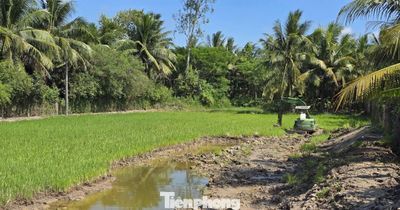 Vì sao Vĩnh Long phải xin hướng dẫn việc hạ đất mặt ruộng?
