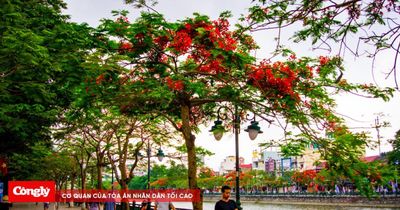 Thời tiết ngày 5/6: Bắc Bộ oi bức, Trung Bộ chạm ngưỡng 39 độ, Nam Bộ mưa dông lớn