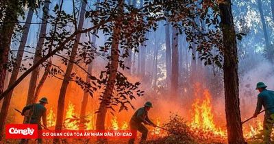 Liên tiếp cháy rừng, cháy nhà dân ở An Cựu giữa đợt nắng nóng