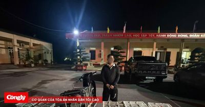 Bắt giữ đối tượng vận chuyển trái phép gia cầm giống vùng biên giới