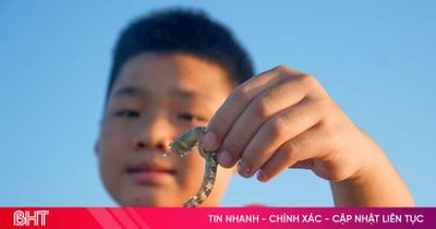 Theo chân bố mẹ ra biển bắt tôm tít