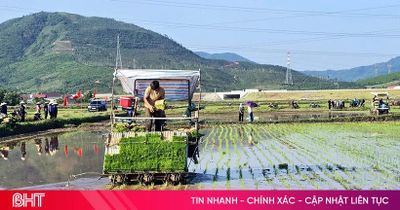 Lần đầu tiên nông dân Kỳ Xuân cấy lúa bằng máy và làm mạ khay