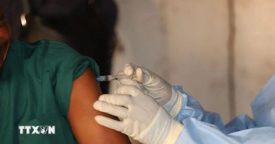 Rủi ro bệnh dịch Ebola và nắng nóng trong thời gian diễn ra World Cup 2026