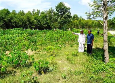 Học và làm theo Bác - Bài 1: Từ lời dạy đến hành động