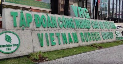 GVR không bị hủy tư cách công ty đại chúng dù chưa đạt chuẩn