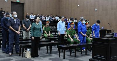 Đề xuất tạm hoãn truy cứu hình sự sai phạm kinh tế: Chuyên gia nói gì?