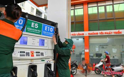 Đề nghị 3 hãng xe xác minh khả năng tương thích với xăng E10