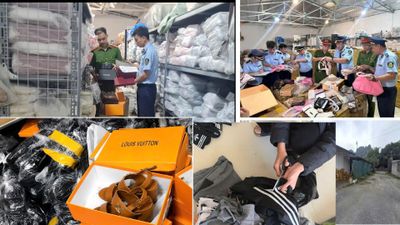 Xử lý 31 vụ việc xâm phạm quyền sở hữu trí tuệ