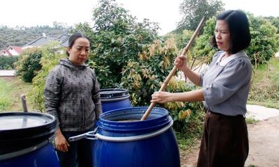 Chung tay xây dựng môi trường xanh, bền vững