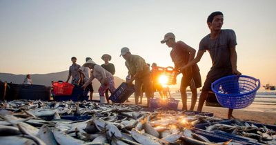 Biển và căn tính con người xứ Quảng