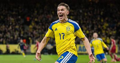 Top 5 ngôi sao đáng xem nhất bảng F World Cup 2026: Cody Gakpo và Takefusa Kubo đối đầu kịch tính
